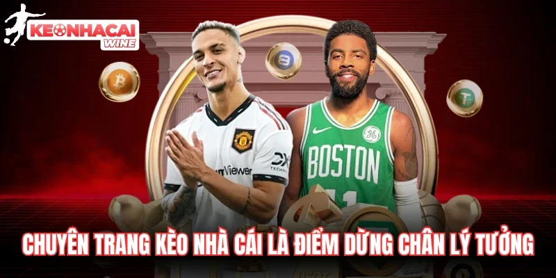 www.ceedeeveedee.nl là chuyên trang cung cấp tỷ lệ kèo uy tín